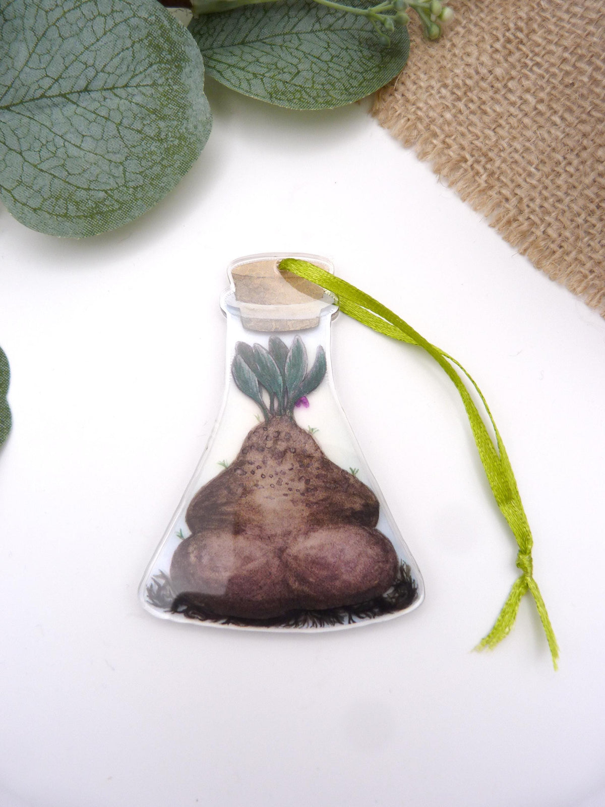 Bottled Mandrake (Flask) Decoration