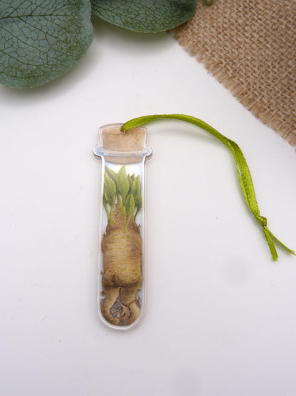 Bottled Mandrake (Test Tube) Decoration